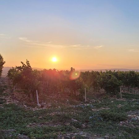 Le Willow Chateauneuf-du-Pape Bagian luar foto