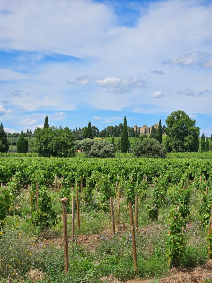Le Willow Chateauneuf-du-Pape Bagian luar foto